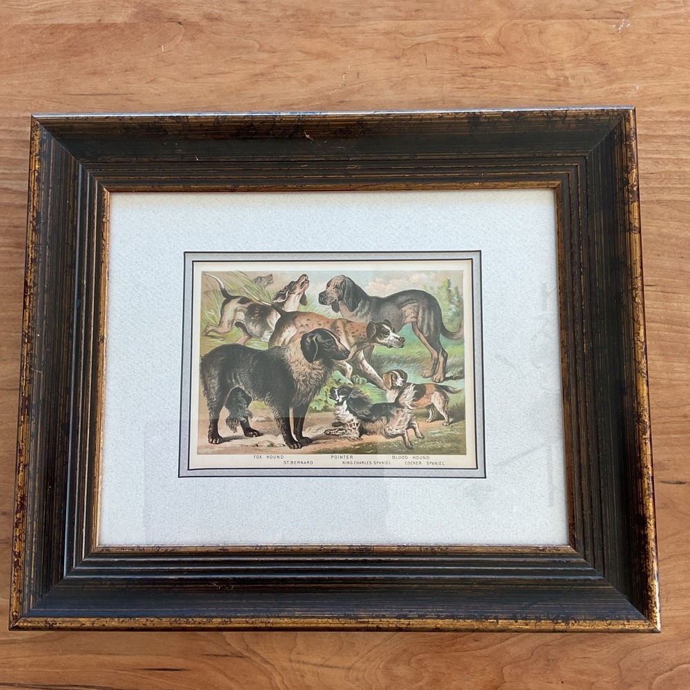 Antique 1889‎ Chromolithograph Hunting Dogs Foxhound Spaniel Framed 18x16